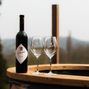 A bottle of red wine with two wine glasses at the edge of the wine bath overlooking the hills. 
